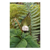 Botanische Waldflora Fotodruck (Vorne)