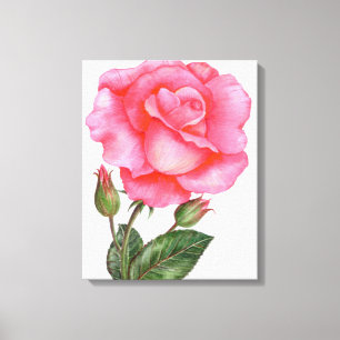 Botanische Wandkunst Rosa Rose Blumenkunst Leinwanddruck