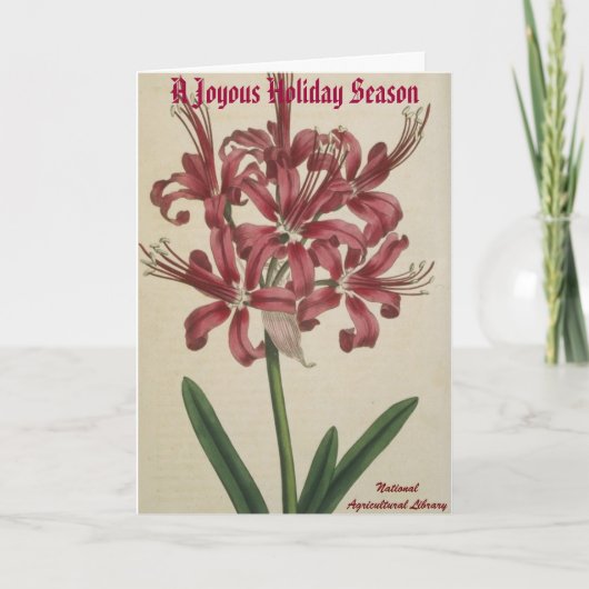 Botanische Weihnachtskarte Feiertagskarte (Vorderseite)