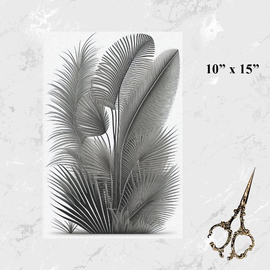 Botanische Weiße Linie Zeichnend Kleine Seidenpapier