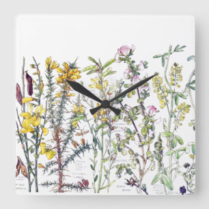 Botanische Wildblume-Blumen-Wiesen-Wand-Uhr Quadratische Wanduhr