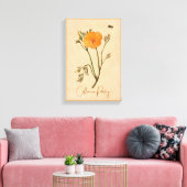 Botanische Wildblume California Poppy Orange Leinwanddruck (Insitu (Wohnzimmer))