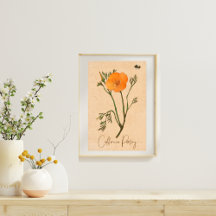 Botanische Wildblume California Poppy Orange