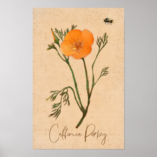 Botanische Wildblume California Poppy Orange Poster (Vorne)