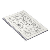 Botanische Wildblumen Vintages Blumenbuch Notizblock (Rechte Seite)