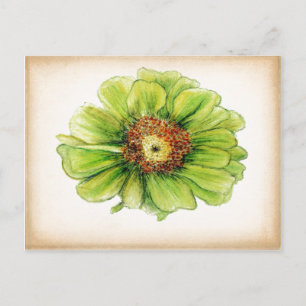 Botanische Zeichnungen auf Postkarten