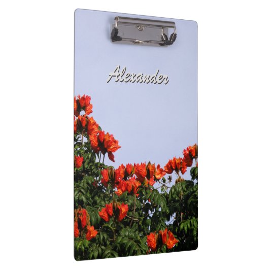 Botanischer afrikanischer Tulpe-Baum irgendein Klemmbrett (Rechts)