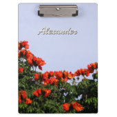 Botanischer afrikanischer Tulpe-Baum irgendein Klemmbrett (Vorderseite)