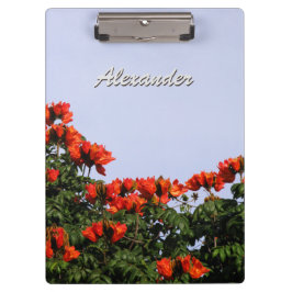 Botanischer afrikanischer Tulpe-Baum irgendein Klemmbrett