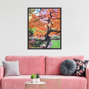 Botanischer Ahornbaum Herbst Fächerahorn Leinwanddruck