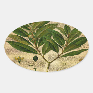 Botanischer Ausdruck auf der alten Buchseite Ovaler Aufkleber