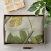 Botanischer Ausdruck Lanzone Seidenpapier (Geschenk)