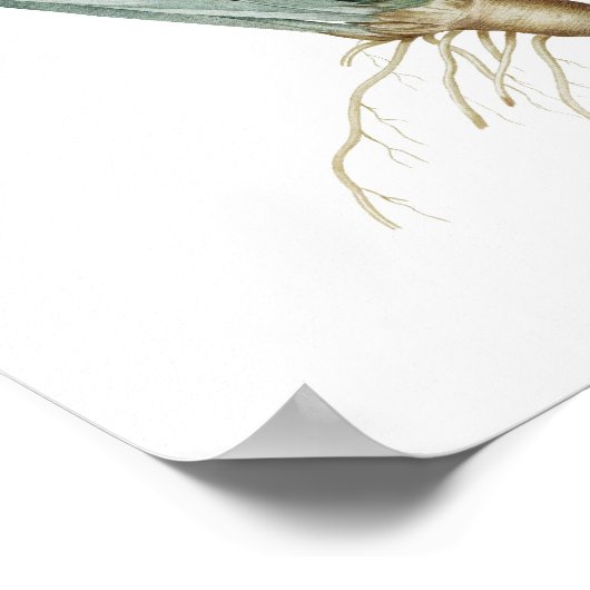 Botanischer Ausdruck von IRISES, Original von Redo Poster (Ecke)