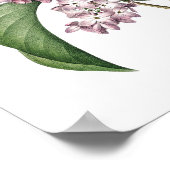 Botanischer Ausdruck von LILAC Original von Redout Poster (Ecke)