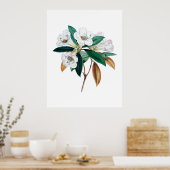 Botanischer Ausdruck von Rhododendron Poster (Küche)