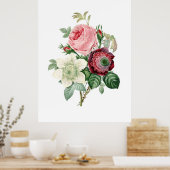 Botanischer Ausdruck von ROSE, originell von Redou Poster (Küche)
