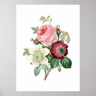 Botanischer Ausdruck von ROSE, originell von Redou Poster