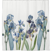 Botanischer blauer Iris-Blumen Redoute Duschvorhang (Vorderseite)