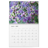 Botanischer Blumengarten Calendar HYDRANGEAS Kalender (Mär 2027)