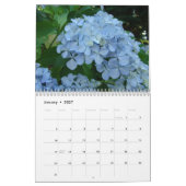 Botanischer Blumengarten Calendar HYDRANGEAS Kalender (Jan 2027)