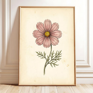 Botanischer Cosmos-Wandkunst-Druck Poster