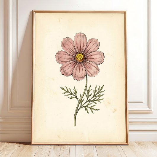 Botanischer Cosmos-Wandkunst-Druck Poster