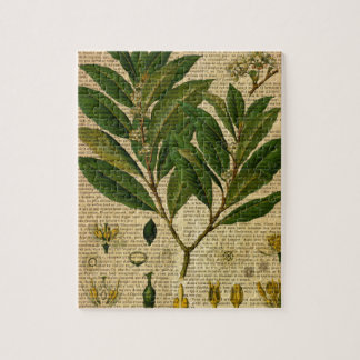 Botanischer Druck auf Seite des alten Buches Puzzle