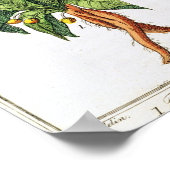 Botanischer Druck aus dem 18. Jahrhundert Poster (Ecke)