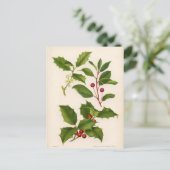 Botanischer Druck - Berg u. amerikanische Postkarte (Stehend Vorderseite)