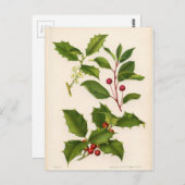 Botanischer Druck - Berg u. amerikanische Postkarte (Vorne/Hinten)