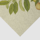 Botanischer Druck des Muskatnussbaums Seidenpapier (Ausschnitt)