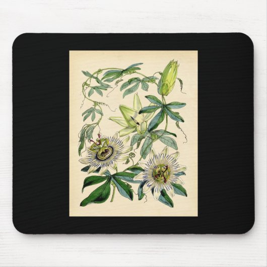 Botanischer Druck - Leidenschafts-Blume Mousepad (Vorne)