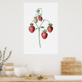 Botanischer Druck Poster (Küche)