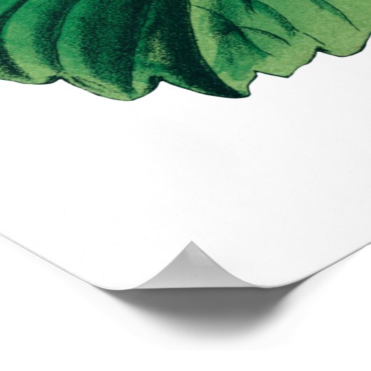 Botanischer Druck Poster (Ecke)