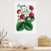 Botanischer Druck Poster (Küche)