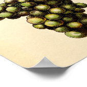 Botanischer Druck - Weißer Traubenmost Poster (Ecke)