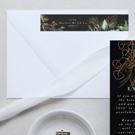 Botanischer Eukalyptus Rodelblüte Elegante Vegetat