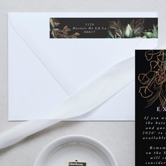 Botanischer Eukalyptus Rodelblüte Elegante Vegetat