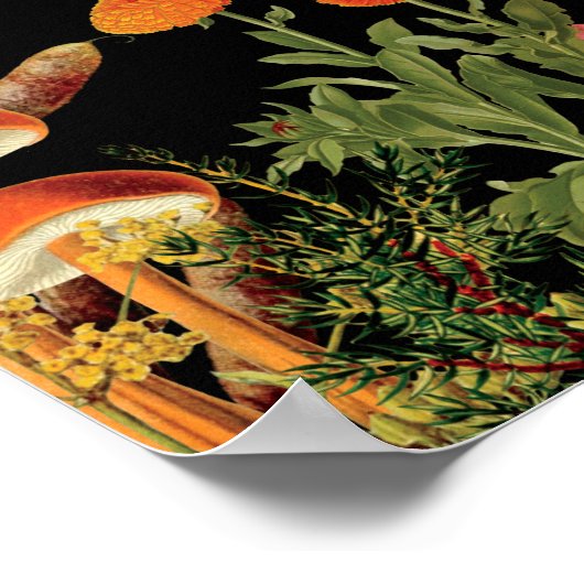 Botanischer Fall Zitat Pilze schwarz Poster (Ecke)