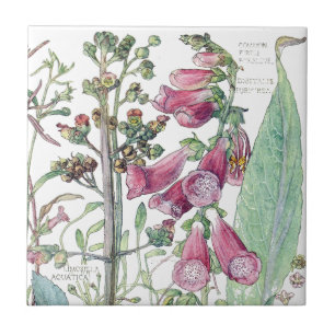 Botanischer Fingerhut-Wildblumen-Blumen-Kachel Fliese