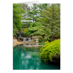 Botanischer Frühling