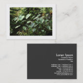 Botanischer Garten (angrenzend) Visitenkarte (Vorne/Hinten)