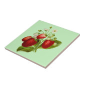 Botanischer Garten Erdbeere Fliese (Seite)