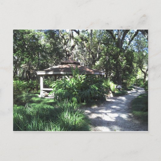 Botanischer Garten Floridas Postkarte (Vorderseite)