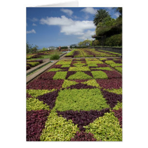 Botanischer Garten, Funchal, Madeira,