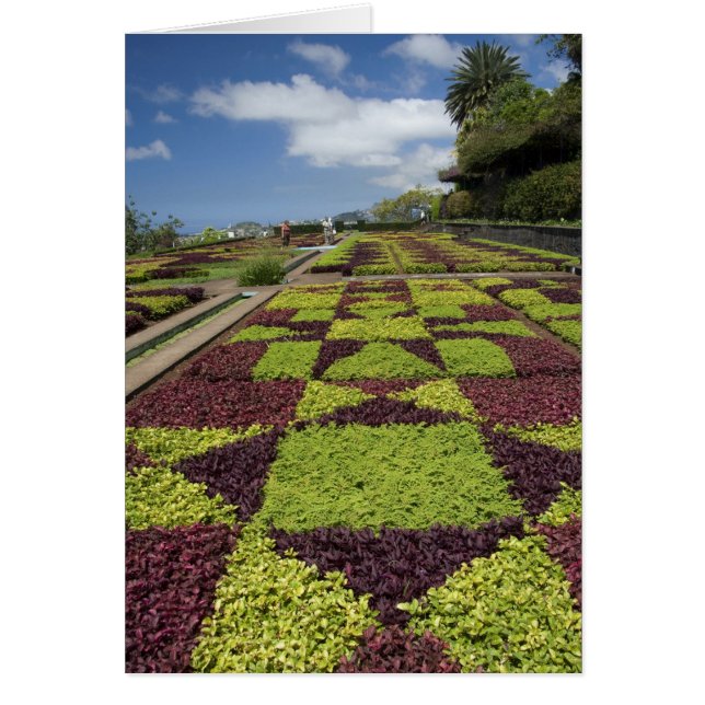Botanischer Garten, Funchal, Madeira, (Vorne)