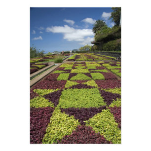 Botanischer Garten, Funchal, Madeira, Fotodruck
