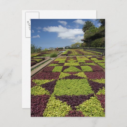Botanischer Garten, Funchal, Madeira, Postkarte (Vorne/Hinten)