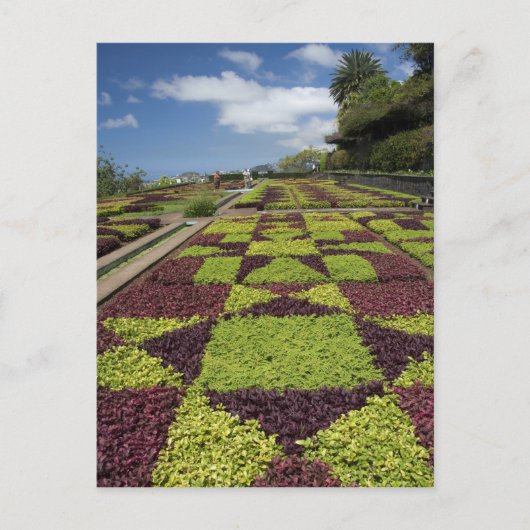 Botanischer Garten, Funchal, Madeira, Postkarte (Vorderseite)