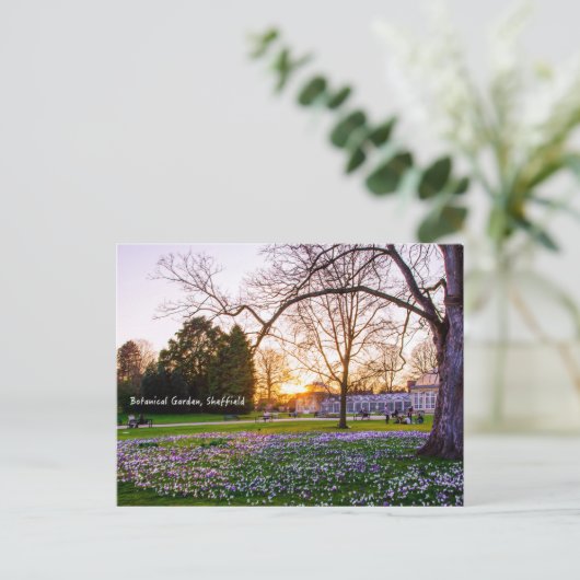 Botanischer Garten in Sheffield Postkarte (Stehend Vorderseite)